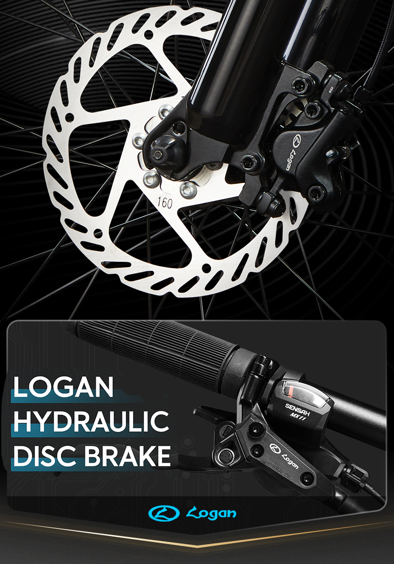 Philips Soft Tail Mountain Bike Full Suspension Shimano Gears Hydraulic Disc MTB